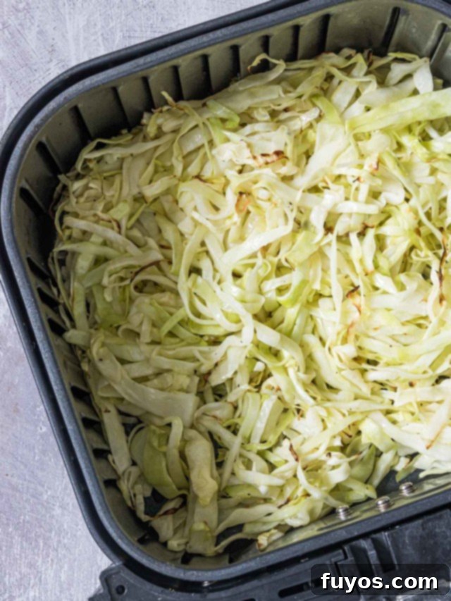 Simple Air Fryer Shredded Cabbage