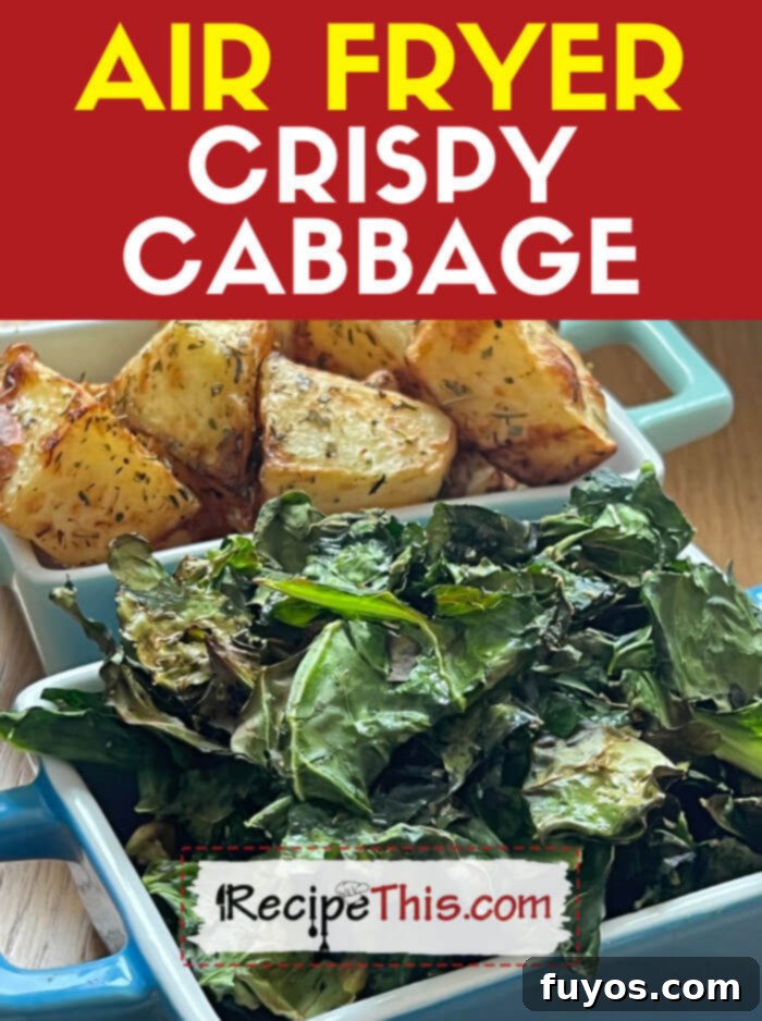 Crispy Air Fryer Cabbage Chips, a healthy snack alternative