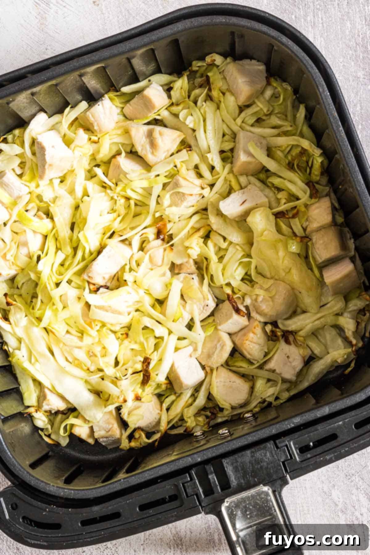 Chicken and Cabbage in the Air Fryer, a quick and healthy meal