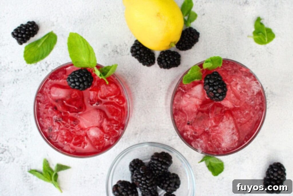 overhead view of two glasses filled with blackberry smash drinks