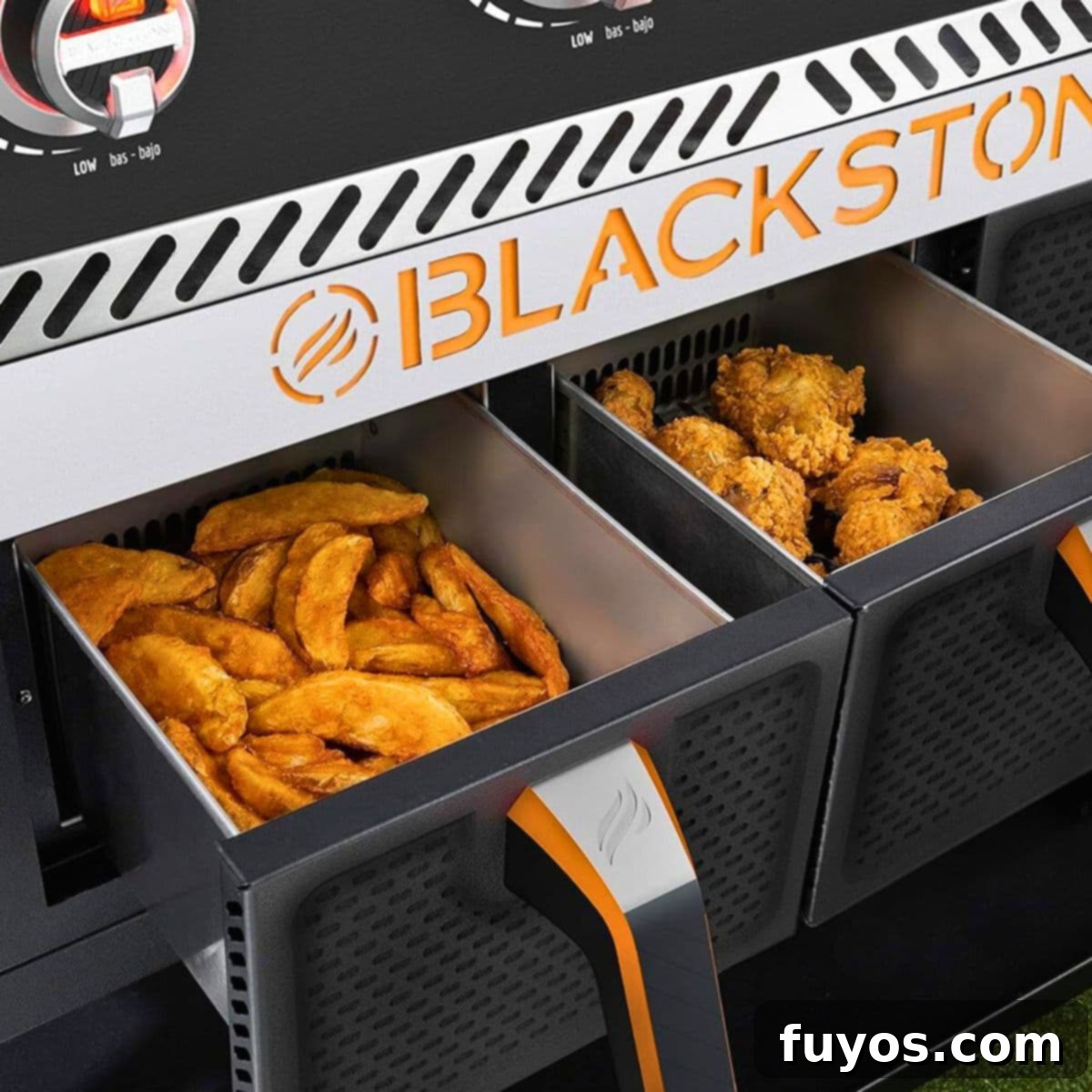 The 5 Best Blackstone Air Fryer Recipes To Try Today featured image