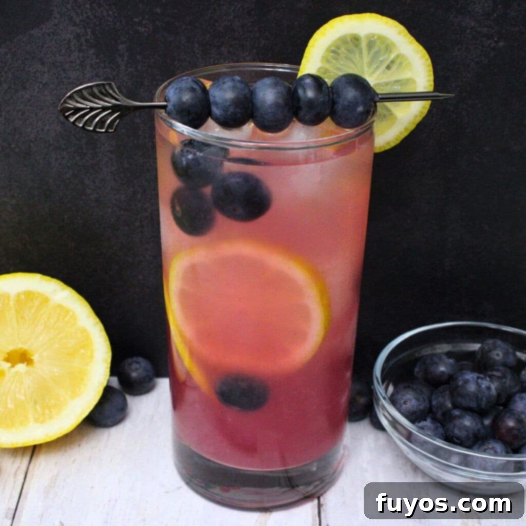 blueberry vodka lemonade cocktail recipe dinners done quick featured image