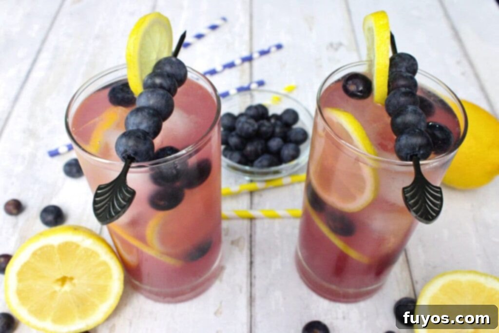 two blueberry vodka lemonade drinks sitting on white wooden table surrounded by fresh fruit