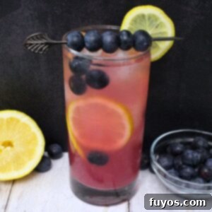 blueberry vodka lemonade cocktail recipe dinners done quick featured image