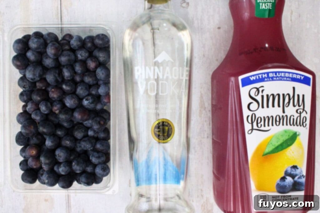 ingredients to make blueberry vodka lemonade cocktail