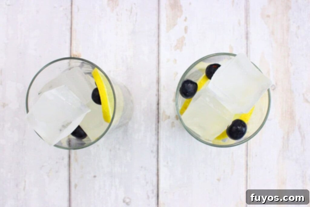 fill highball glass with ice, lemon slices, and blueberries