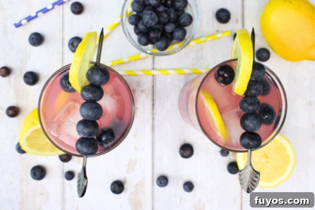 overhead view of two blueberry vodka lemonade drinks on a white wooden table