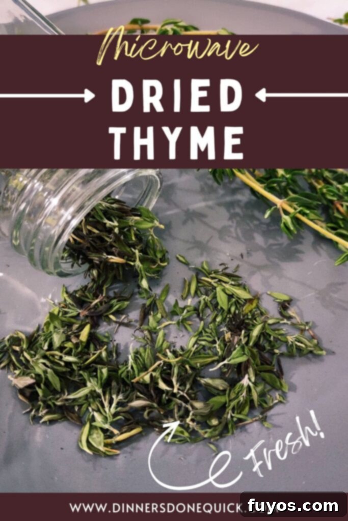 Effortless Microwave Thyme Drying 11 how to dry thyme in the microwave dinners done quick pinterest