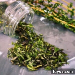 Effortless Microwave Thyme Drying 9 how to dry thyme in the microwave dinners done quick featured image