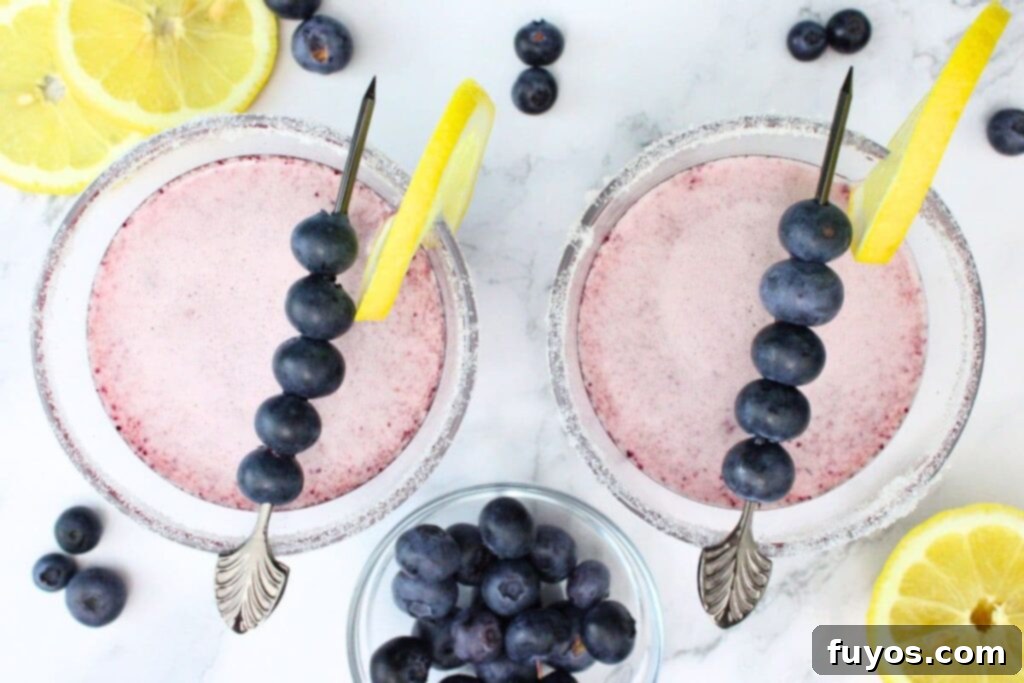 An overhead shot of two blueberry lemon drop martinis, beautifully garnished with fruit, against a dark, inviting background.