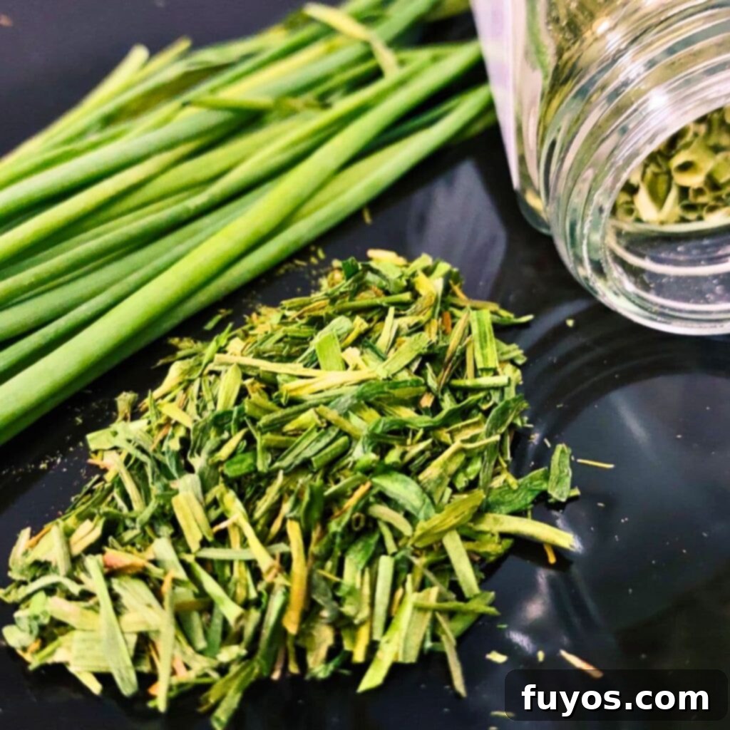 Effortless Air Fryer Chive Preservation 2 how to dry chives in the air fryer easy guide featured image