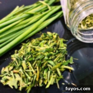 Effortless Air Fryer Chive Preservation 10 how to dry chives in the air fryer easy guide featured image