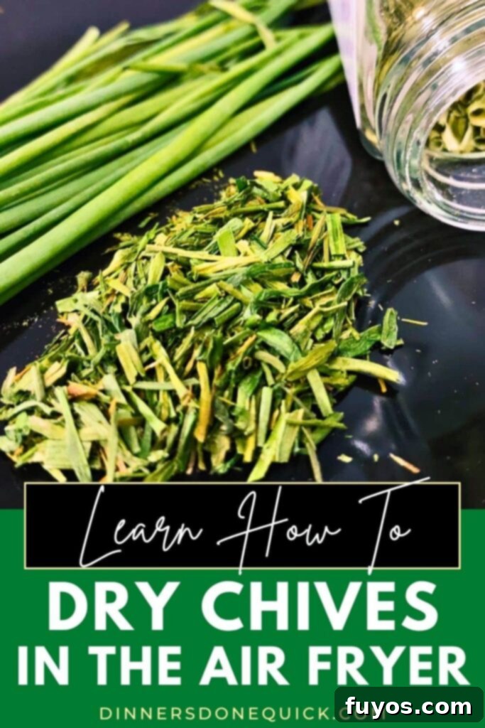 Effortless Air Fryer Chive Preservation 12 dry chives in the air fryer dinners done quick pinterest