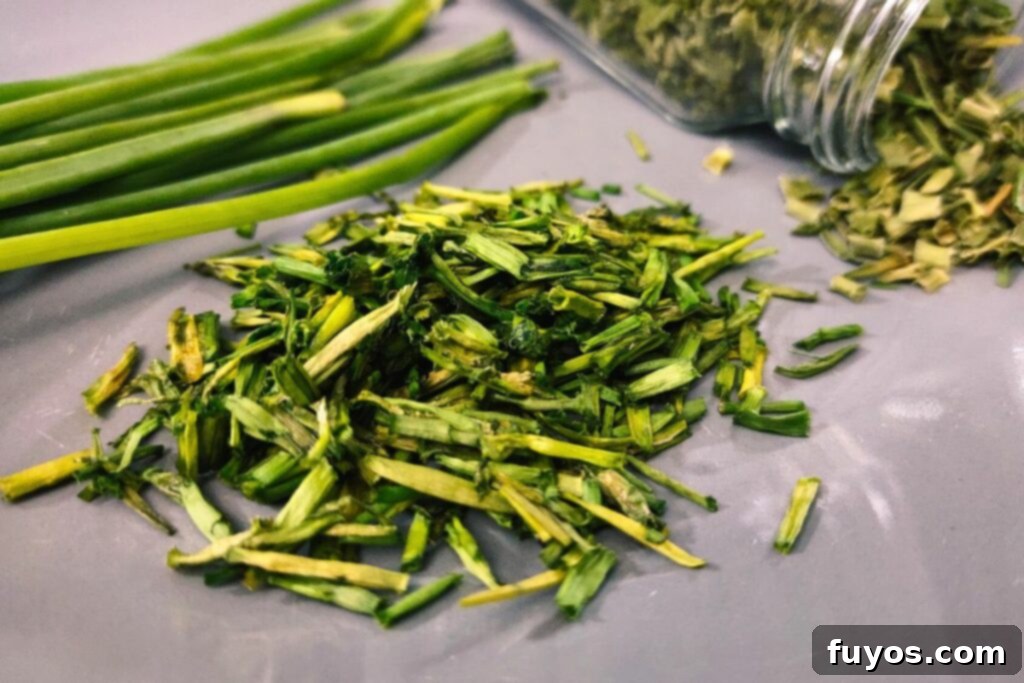 Quick and Easy Microwave Dried Chives 2 how to dry chives in the microwave dinners done quick