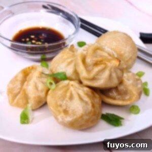 Crispy Bibigo Air Fryer Dumplings Pork or Chicken 8 how to cook bibigo dumplings in the air fryer dinners done quick featured image