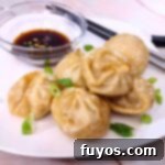 Crispy Bibigo Air Fryer Dumplings Pork or Chicken 9 how to cook bibigo dumplings in the air fryer dinners done quick featured image