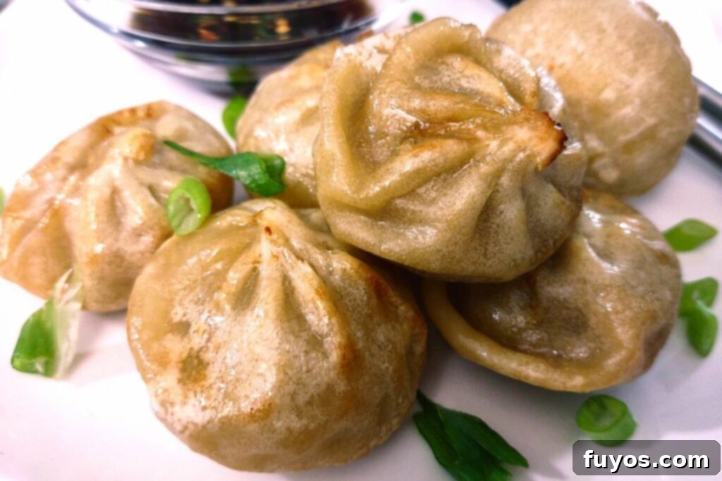 Crispy Bibigo Air Fryer Dumplings Pork or Chicken 3 closeup of air fried bibigo dumplings