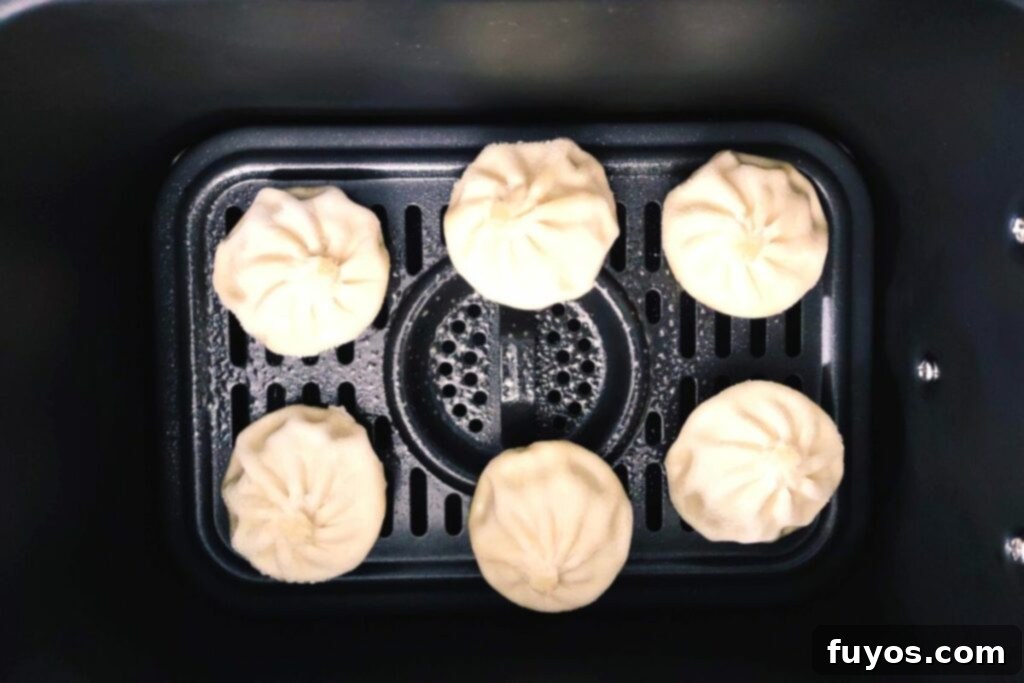 Crispy Bibigo Air Fryer Dumplings Pork or Chicken 6 spritz the top of frozen bibigo dumplings with oil to brown