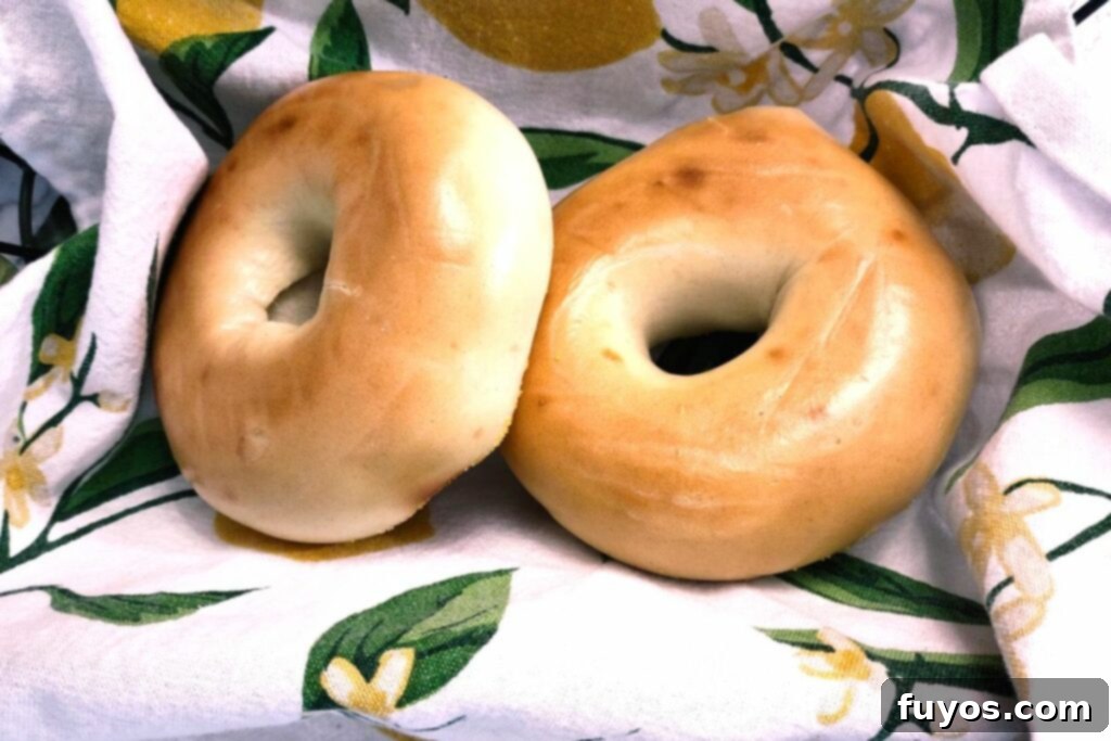 The Secret to Warm Fluffy Air Fryer Bagels 6 Two air fryer defrosted bagels, showing their soft and ready-to-eat condition.