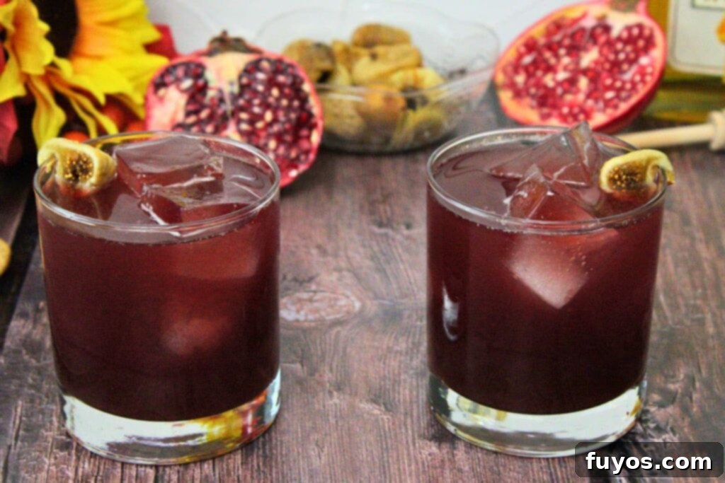 Gladiator Cocktail Romes Spirited Legacy 9 two gladiator cocktails on a wooden table with fresh pomegranate and fig