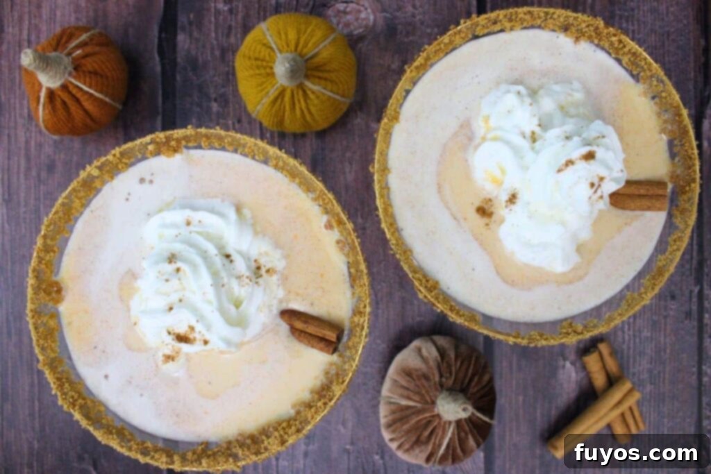 overhead view of two pumpkin pie martinis with whipped cream and cinnamon