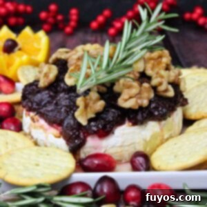 Air Fryer Cranberry Walnut Baked Brie 12 cranberry baked brie with walnuts air fryer recipe dinners done quick featured image