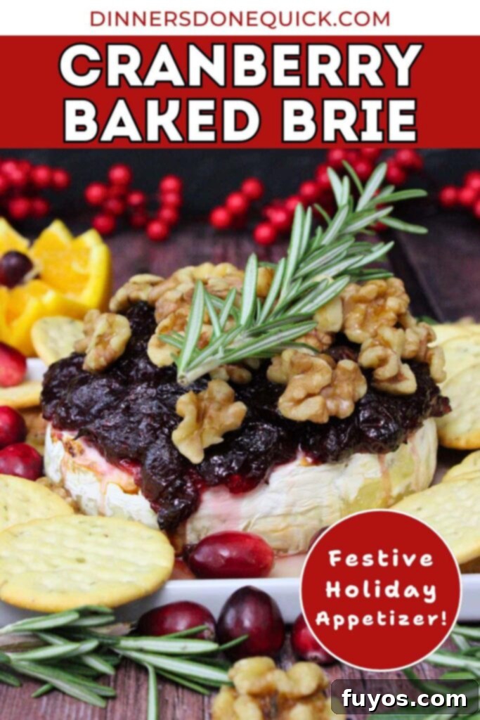 Air Fryer Cranberry Walnut Baked Brie 14 cranberry baked brie with walnuts air fryer recipe dinners done quick pinterest