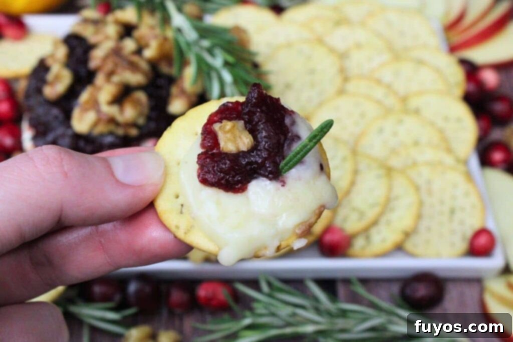 Air Fryer Cranberry Walnut Baked Brie 3 holding up a cracker dipped in air fryer cranberry baked brie with a melty center