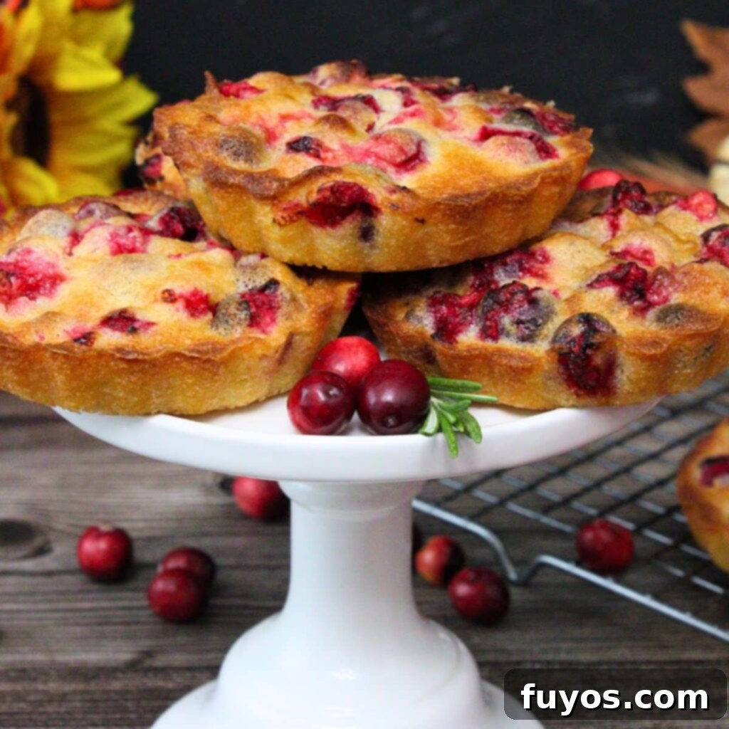 Air Fryer Holiday Mini Cranberry Pies No Crust 2 air fryer mini crustless cranberry pie recipe dinners done quick featured image