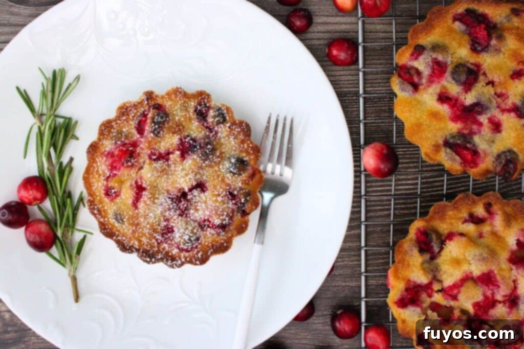 Air Fryer Holiday Mini Cranberry Pies No Crust 11 overhead view of air fryer crustless cranberry pie on a plate with powdered sugar with others on a wire rack