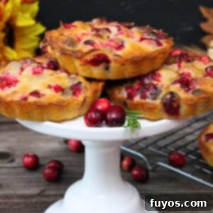 Air Fryer Holiday Mini Cranberry Pies No Crust 13 air fryer mini crustless cranberry pie recipe dinners done quick featured image