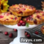 Air Fryer Holiday Mini Cranberry Pies No Crust 14 air fryer mini crustless cranberry pie recipe dinners done quick featured image