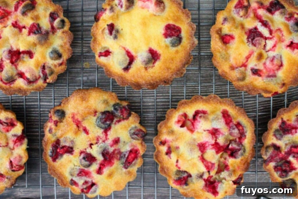 Air Fryer Holiday Mini Cranberry Pies No Crust 10 let mini crustless cranberry pies cool on a wire rack