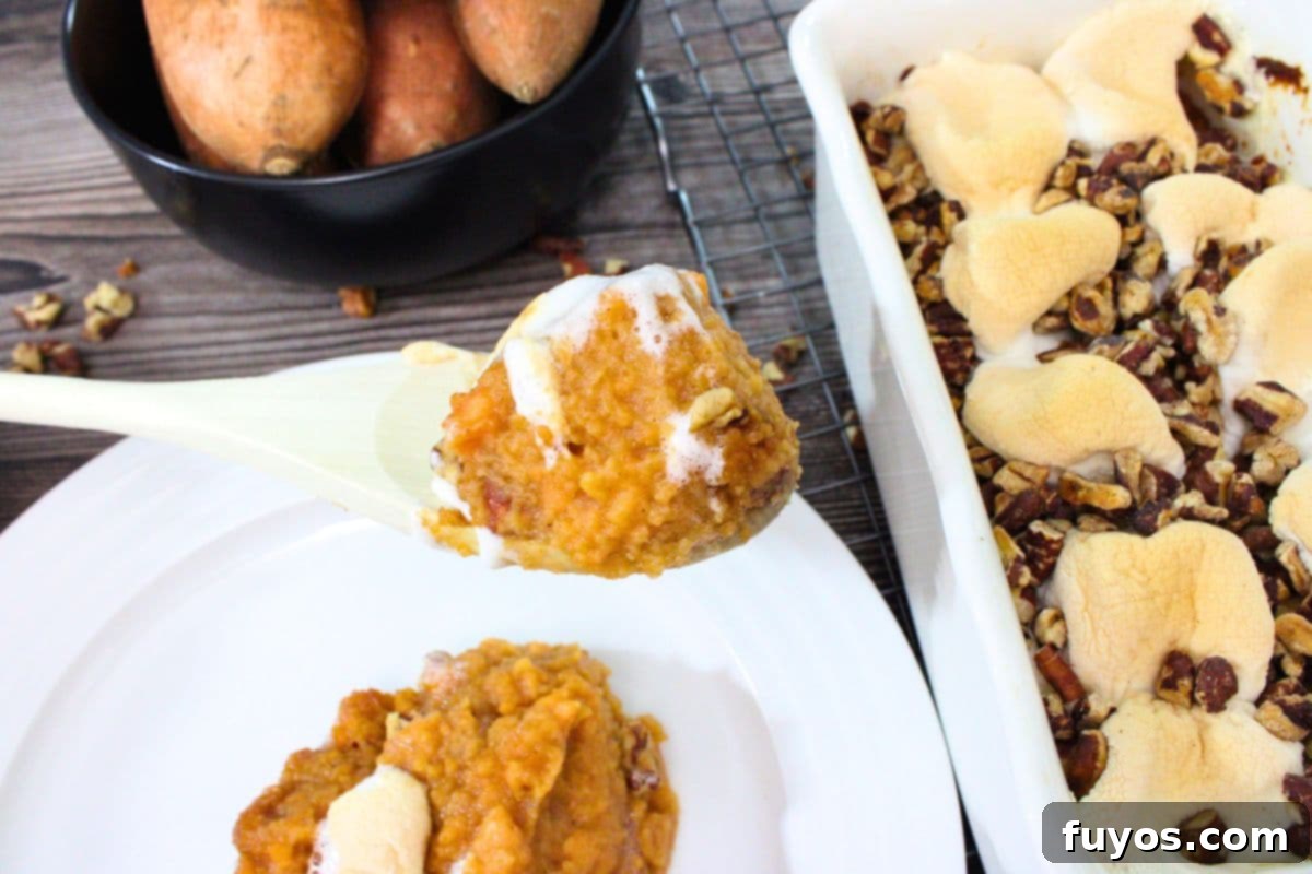 Crispy & Quick: 19 Air Fryer Thanksgiving Recipes for a Perfect Feast 13 Air fryer sweet potato casserole with melted marshmallows on a wooden spoon.