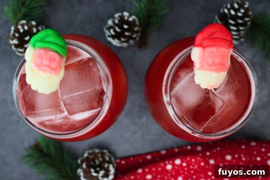 Applebee's Tipsy Reindeer: Your Homemade Holiday Cocktail 8 Step 4: Overhead view of two Tipsy Reindeer drinks garnished with red and green gummy Santas