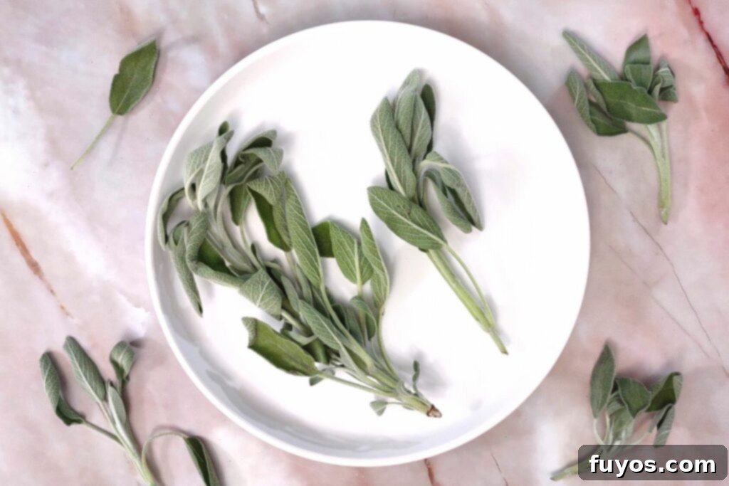 wash and dry sage if needed