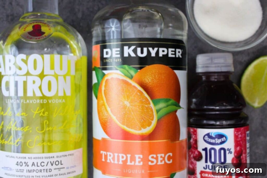 Santa Clausmopolitan Your Ultimate Holiday Drink 4 ingredients to make santa clausmopolitan