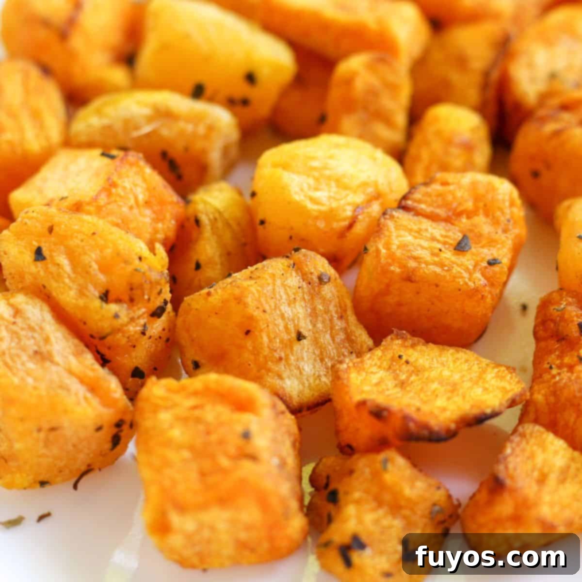 Frozen Butternut Squash in the Air Fryer