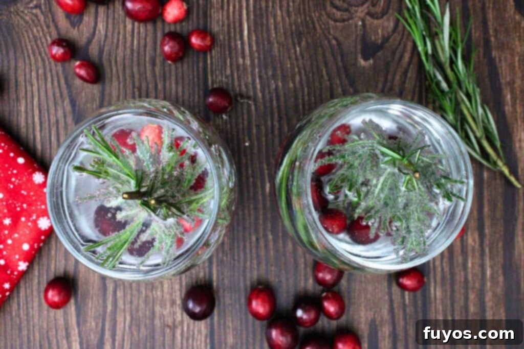 Step 5: Overhead shot of two freshly made Snow Globe Cocktails, garnished with cranberries, ready to be enjoyed.