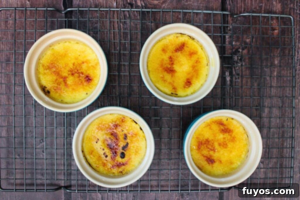 use kitchen torch to heat sugar on top of creme brulee