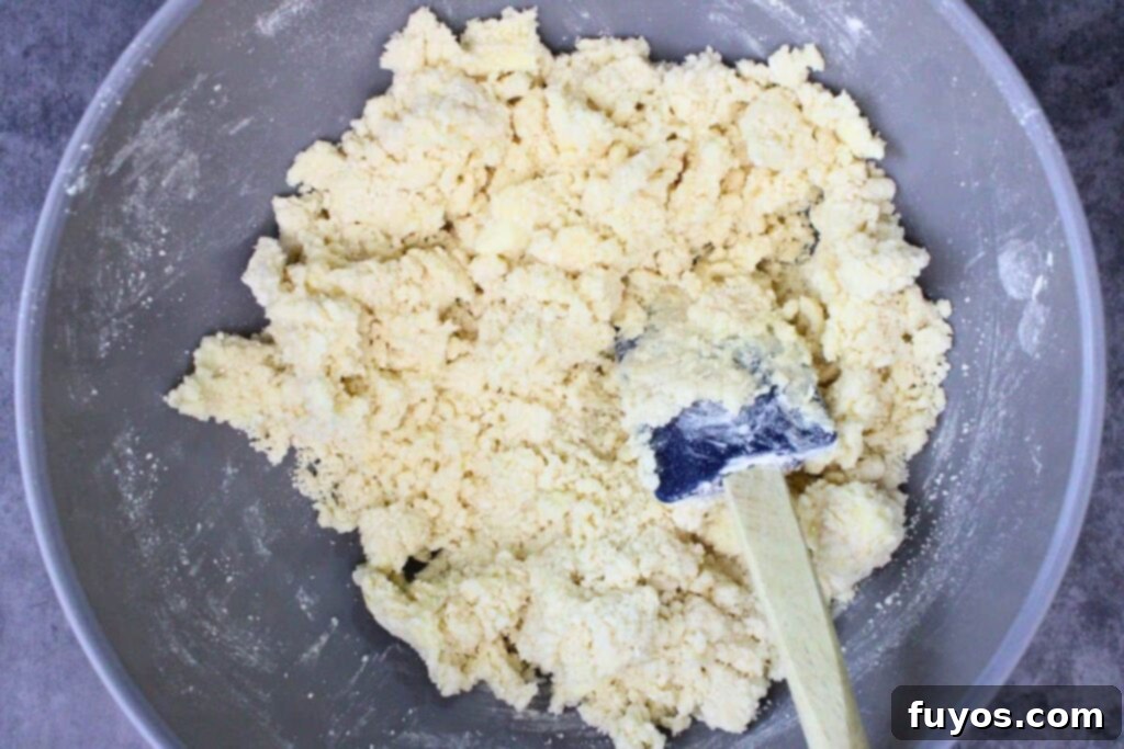 add flour, cornstarch, and salt to form a crumbly dough