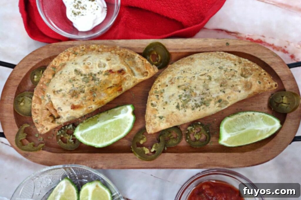 crunchy air fried chicken chimichurri empanadas from trader joe's