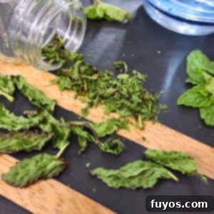 Dry Mint in Minutes: Microwave Method 10 How to dry mint in the microwave for quick and easy preserved herbs, featured image