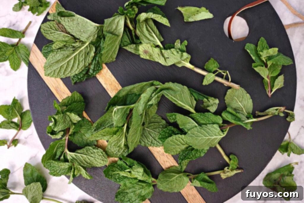 Dry Mint in Minutes: Microwave Method 3 Clean and dry fresh mint leaves on a white background, ready for drying.
