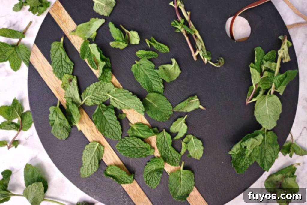 Dry Mint in Minutes: Microwave Method 4 Fresh mint leaves being plucked from stems, separating leaves for drying.