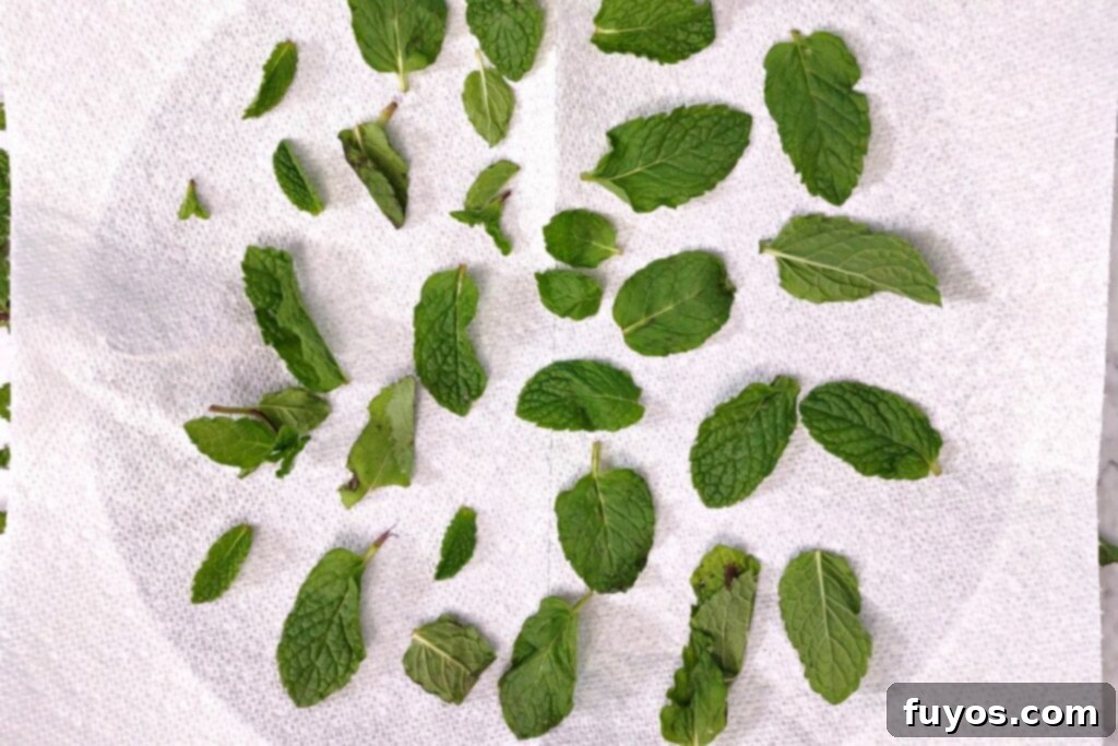 Dry Mint in Minutes: Microwave Method 5 Fresh mint leaves laid in a single layer on a paper towel on a microwave-safe plate.