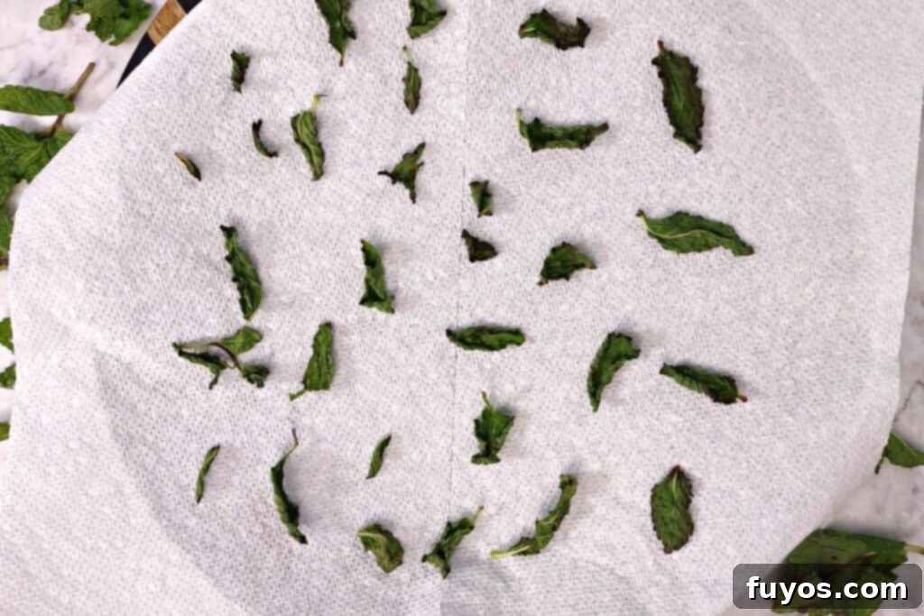 Dry Mint in Minutes: Microwave Method 7 Microwave-dried mint leaves being checked for crispness and doneness.