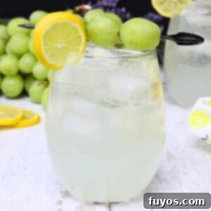 Zesty Sparkling Vodka Lemonade 9 Classic vodka lemonade spritzer, perfectly garnished, against a bright summer backdrop.