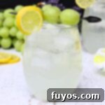Zesty Sparkling Vodka Lemonade 10 Close-up of a vodka lemonade spritzer in a glass, with a lemon slice garnish.