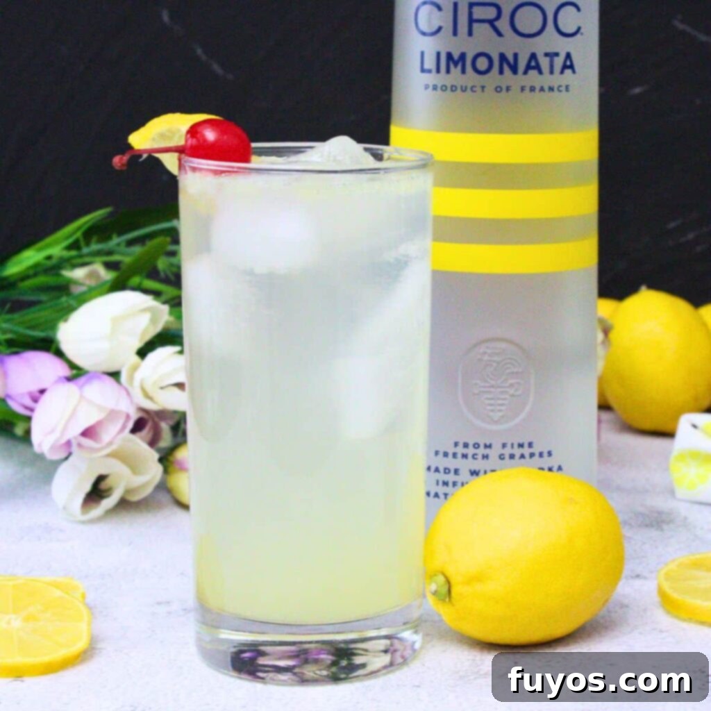 Lemon Vodka Collins: Summer's Zesty Escape 2 Classic Lemon Vodka Collins cocktail served in a tall glass with lemon slice and cherry
